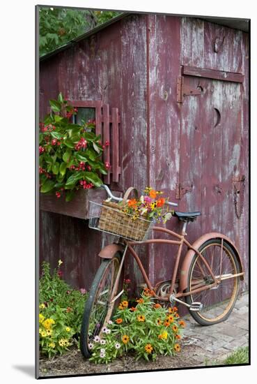 Old Bicycle with Flower Basket Next to Old Outhouse Garden Shed-Richard and Susan Day-Mounted Photographic Print