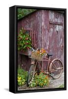 Old Bicycle with Flower Basket Next to Old Outhouse Garden Shed-Richard and Susan Day-Framed Stretched Canvas