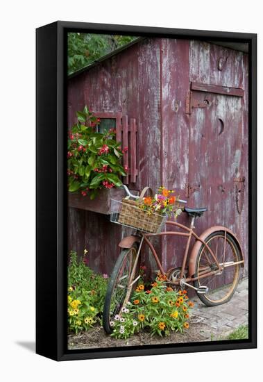 Old Bicycle with Flower Basket Next to Old Outhouse Garden Shed-Richard and Susan Day-Framed Stretched Canvas