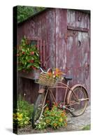 Old Bicycle with Flower Basket Next to Old Outhouse Garden Shed-Richard and Susan Day-Stretched Canvas