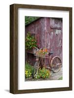 Old Bicycle with Flower Basket Next to Old Outhouse Garden Shed-Richard and Susan Day-Framed Photographic Print
