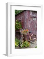 Old Bicycle with Flower Basket Next to Old Outhouse Garden Shed-Richard and Susan Day-Framed Photographic Print