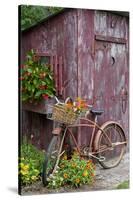 Old Bicycle with Flower Basket Next to Old Outhouse Garden Shed-Richard and Susan Day-Stretched Canvas