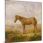 Old Billy, a Draught Horse, Aged 62 (Oil on Panel)-Charles Towne-Mounted Giclee Print