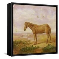 Old Billy, a Draught Horse, Aged 62 (Oil on Panel)-Charles Towne-Framed Stretched Canvas