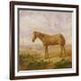 Old Billy, a Draught Horse, Aged 62 (Oil on Panel)-Charles Towne-Framed Giclee Print