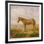 Old Billy, a Draught Horse, Aged 62 (Oil on Panel)-Charles Towne-Framed Giclee Print