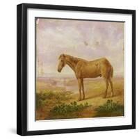 Old Billy, a Draught Horse, Aged 62 (Oil on Panel)-Charles Towne-Framed Giclee Print