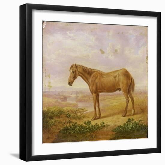 Old Billy, a Draught Horse, Aged 62 (Oil on Panel)-Charles Towne-Framed Giclee Print