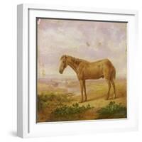 Old Billy, a Draught Horse, Aged 62 (Oil on Panel)-Charles Towne-Framed Giclee Print