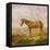 Old Billy, a Draught Horse, Aged 62 (Oil on Panel)-Charles Towne-Framed Stretched Canvas