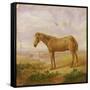 Old Billy, a Draught Horse, Aged 62 (Oil on Panel)-Charles Towne-Framed Stretched Canvas