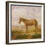 Old Billy, a Draught Horse, Aged 62 (Oil on Panel)-Charles Towne-Framed Giclee Print