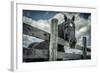 Old Black Horse-Stephen Arens-Framed Photographic Print