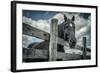 Old Black Horse-Stephen Arens-Framed Photographic Print