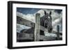 Old Black Horse-Stephen Arens-Framed Photographic Print