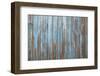 Old Blue Wood Wall-geargodz-Framed Photographic Print