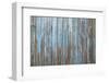 Old Blue Wood Wall-geargodz-Framed Photographic Print