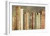 Old Books on a Shelf-Tom Quartermaine-Framed Giclee Print