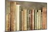 Old Books on a Shelf-Tom Quartermaine-Mounted Giclee Print