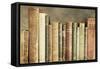 Old Books on a Shelf-Tom Quartermaine-Framed Stretched Canvas