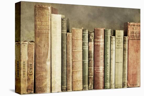 Old Books on a Shelf-Tom Quartermaine-Stretched Canvas