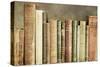Old Books on a Shelf-Tom Quartermaine-Stretched Canvas