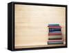 Old Books on a Wooden Shelf.-donatas1205-Framed Stretched Canvas