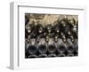 Old Bottles Aging in the Cellar, Chateau Vannieres, La Cadiere d'Azur-Per Karlsson-Framed Photographic Print