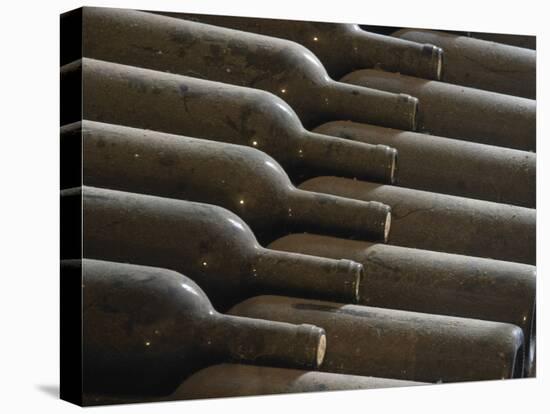 Old Bottles Aging in the Cellar, Chateau Vannieres, La Cadiere d'Azur-Per Karlsson-Stretched Canvas