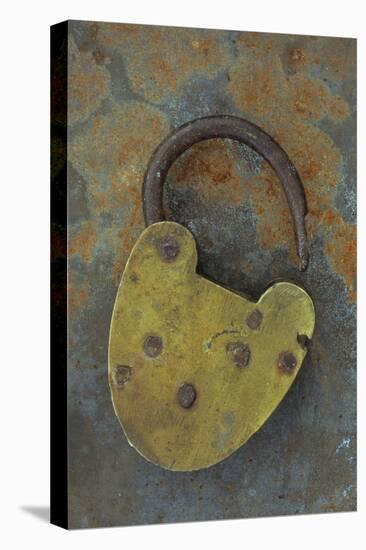 Old Brass Padlock Lying on Rusty Metal Sheet-Den Reader-Stretched Canvas