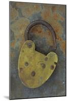 Old Brass Padlock Lying on Rusty Metal Sheet-Den Reader-Mounted Photographic Print