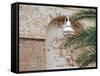 Old Brick Wall with Palm Trees, Key West, Florida Keys, Florida, USA-Terry Eggers-Framed Stretched Canvas