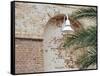 Old Brick Wall with Palm Trees, Key West, Florida Keys, Florida, USA-Terry Eggers-Framed Stretched Canvas