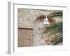 Old Brick Wall with Palm Trees, Key West, Florida Keys, Florida, USA-Terry Eggers-Framed Premium Photographic Print