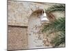 Old Brick Wall with Palm Trees, Key West, Florida Keys, Florida, USA-Terry Eggers-Mounted Premium Photographic Print