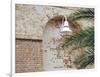 Old Brick Wall with Palm Trees, Key West, Florida Keys, Florida, USA-Terry Eggers-Framed Photographic Print