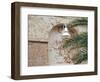 Old Brick Wall with Palm Trees, Key West, Florida Keys, Florida, USA-Terry Eggers-Framed Photographic Print