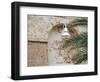 Old Brick Wall with Palm Trees, Key West, Florida Keys, Florida, USA-Terry Eggers-Framed Photographic Print