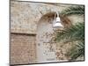 Old Brick Wall with Palm Trees, Key West, Florida Keys, Florida, USA-Terry Eggers-Mounted Photographic Print