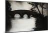 Old Bridge II-Kari Taylor-Mounted Giclee Print