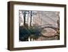 Old Bridge in Autumn Misty Park - HDR-gorillaimages-Framed Photographic Print