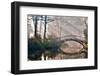 Old Bridge in Autumn Misty Park - HDR-gorillaimages-Framed Photographic Print