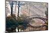 Old Bridge in Autumn Misty Park - HDR-gorillaimages-Mounted Photographic Print