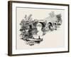 Old Bridge of Forth-null-Framed Giclee Print