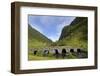 Old Bridge, Ytredalen, Sogn Og Fjordane, Norway, Scandinavia, Europe-Gary Cook-Framed Photographic Print