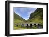 Old Bridge, Ytredalen, Sogn Og Fjordane, Norway, Scandinavia, Europe-Gary Cook-Framed Photographic Print