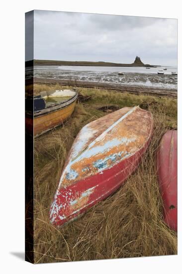 Old Brightly Painted Fishing Boats and Lindisfarne Castle in Winter, Holy Island, Northumberland-Eleanor Scriven-Stretched Canvas