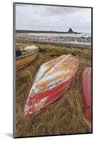 Old Brightly Painted Fishing Boats and Lindisfarne Castle in Winter, Holy Island, Northumberland-Eleanor Scriven-Mounted Photographic Print