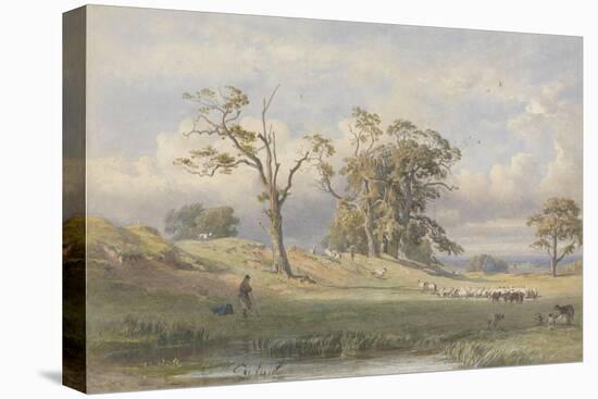 Old British Camp in Bulstrode Park, 1860-George Arthur Fripp-Stretched Canvas